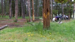 Cascade Picnic Area